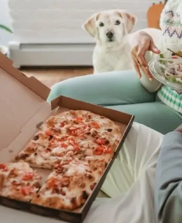 can a dog die from eating pizza